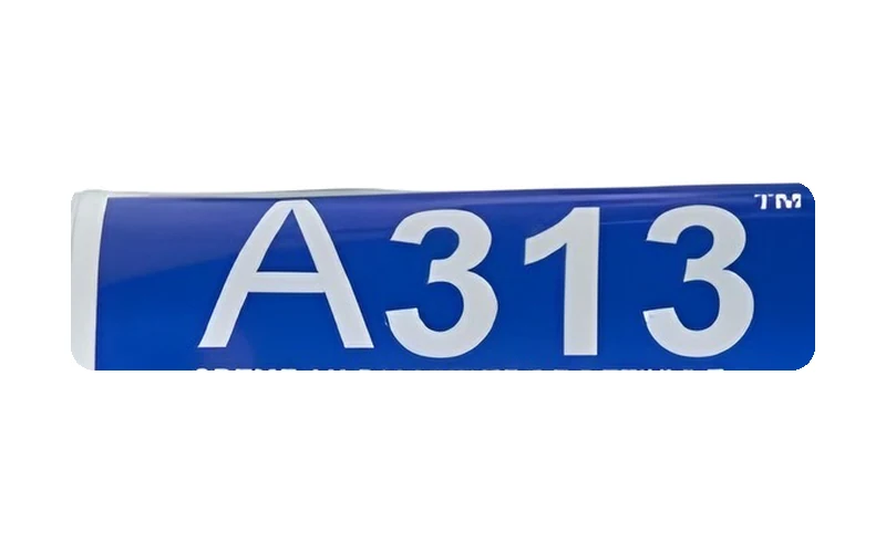A313